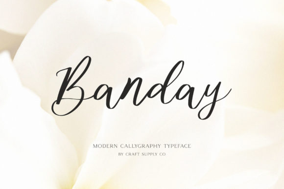 Banday: The Refined Script for Modern Branding