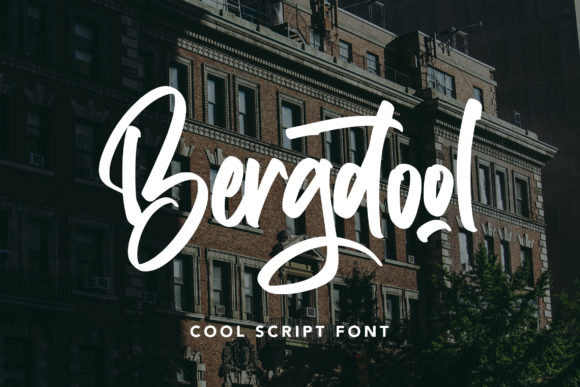 Bergdool: A Modern Script Font for Elegant Design