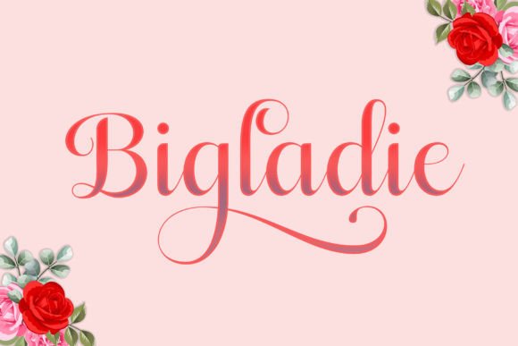 Bigladie: Crafting Elegance in Every Letterform