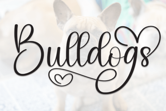 Bulldogs: The Stylish Handwritten Script for Modern Designers