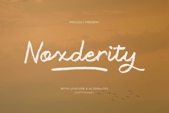 Noxderity: The Brush Script Font for Authentic Design