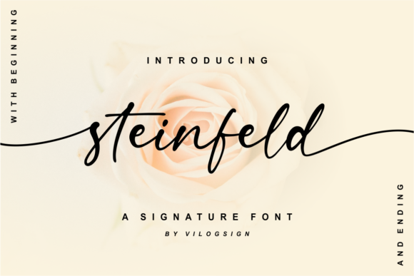 Steinfeld: Blending Timeless Calligraphy with Modern Design